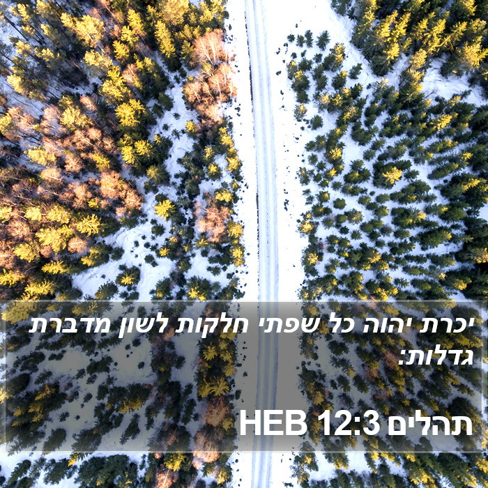 תהלים 12:3 HEB Bible Study