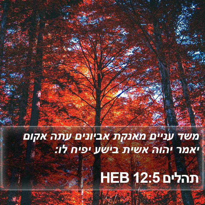 תהלים 12:5 HEB Bible Study