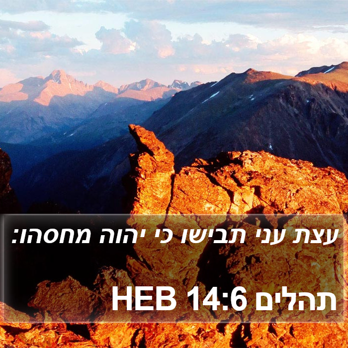 תהלים 14:6 HEB Bible Study