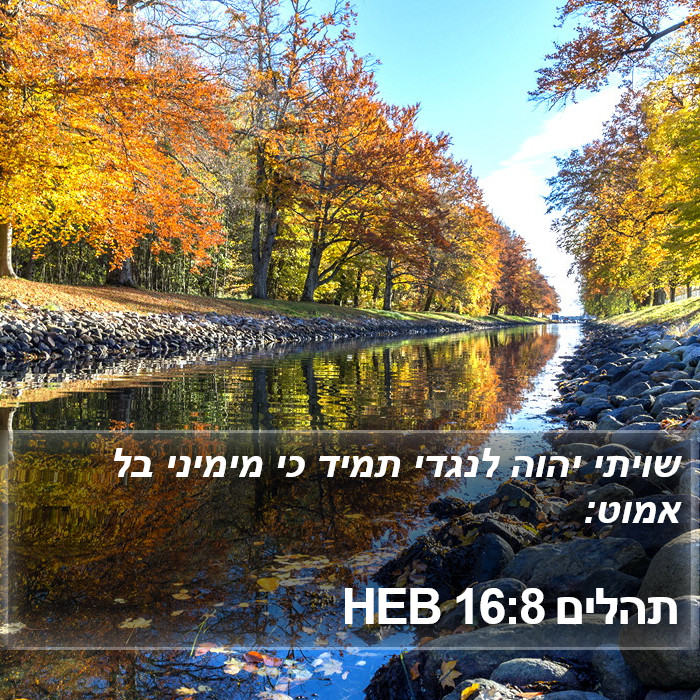 תהלים 16:8 HEB Bible Study