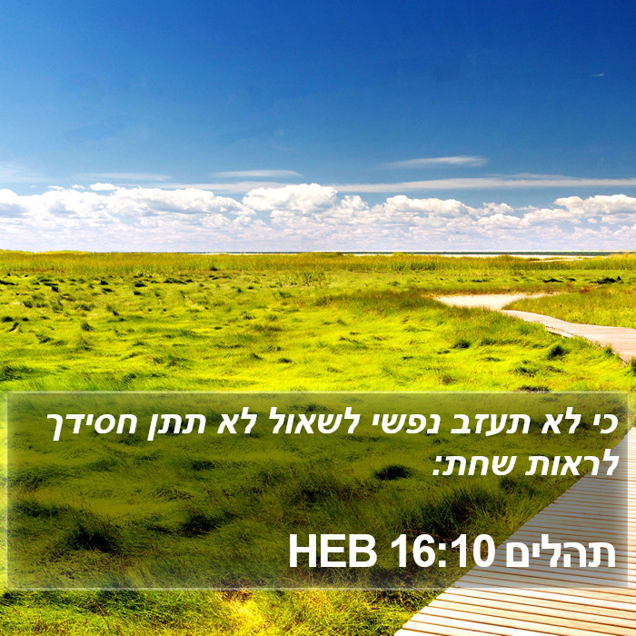 תהלים 16:10 HEB Bible Study