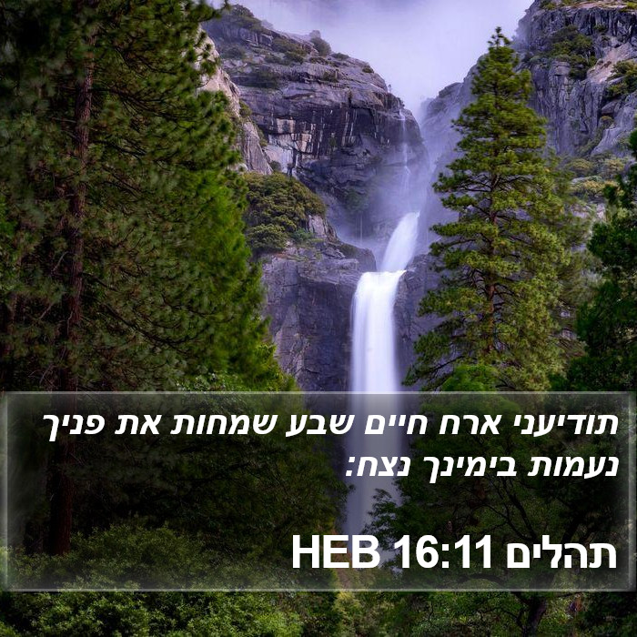 תהלים 16:11 HEB Bible Study