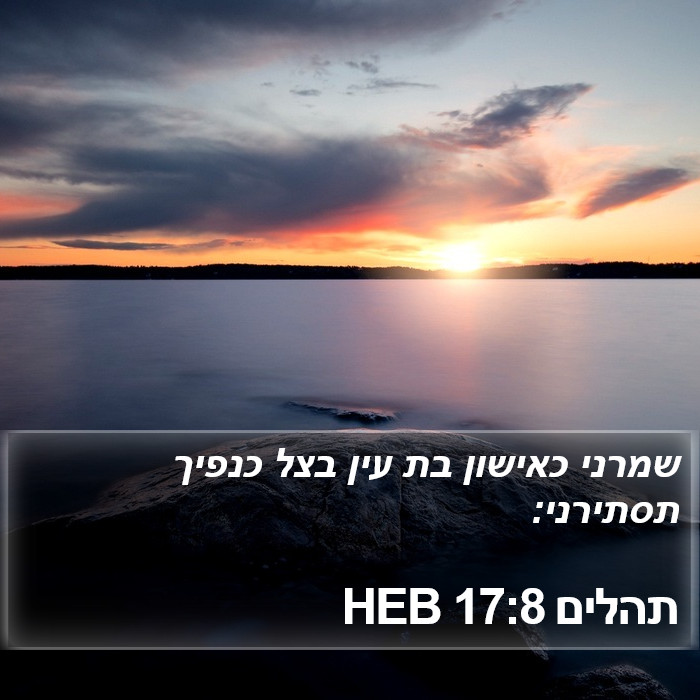 תהלים 17:8 HEB Bible Study