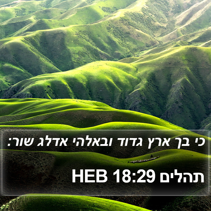 תהלים 18:29 HEB Bible Study