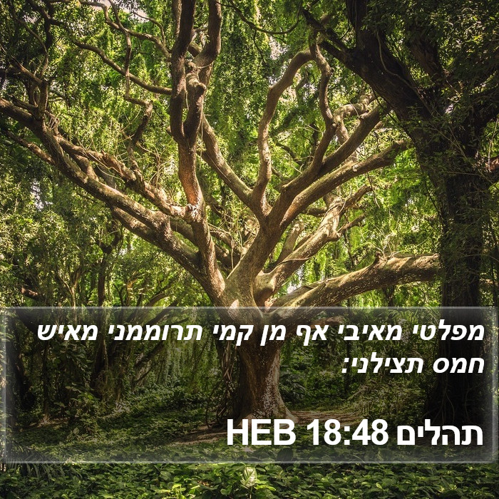 תהלים 18:48 HEB Bible Study