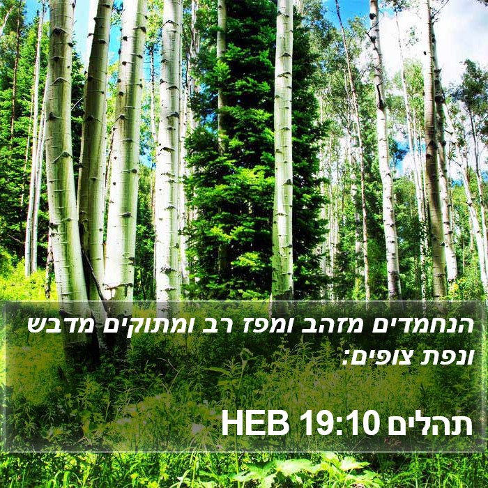 תהלים 19:10 HEB Bible Study