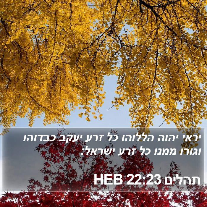 תהלים 22:23 HEB Bible Study