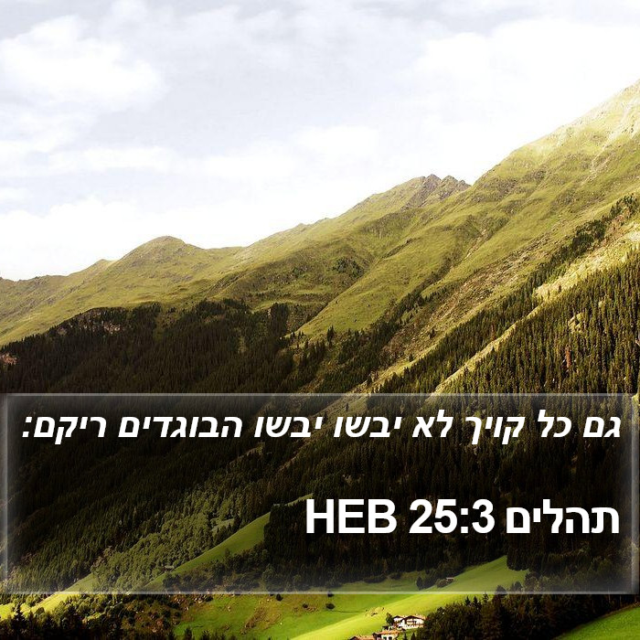 תהלים 25:3 HEB Bible Study
