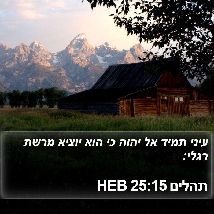 תהלים 25:15 HEB Bible Study