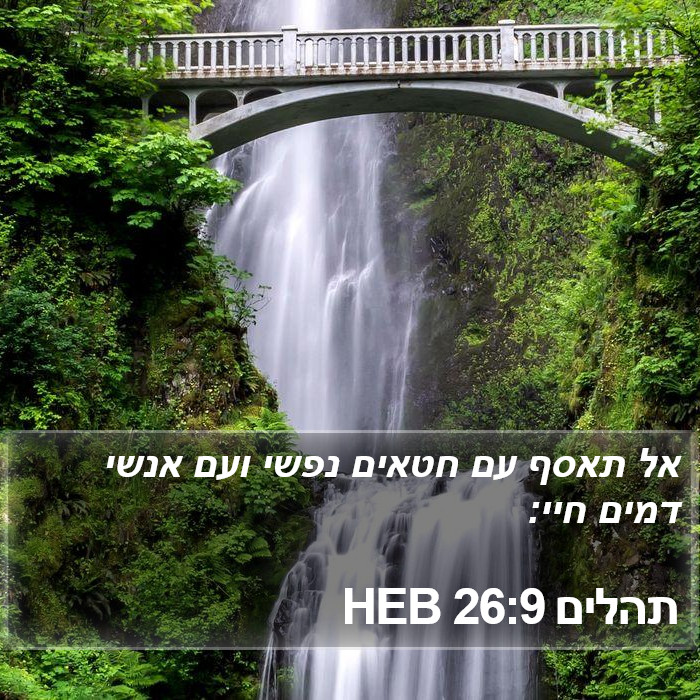 תהלים 26:9 HEB Bible Study