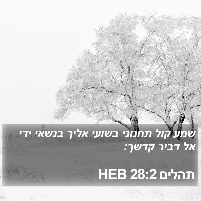 תהלים 28:2 HEB Bible Study