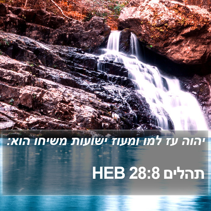 תהלים 28:8 HEB Bible Study