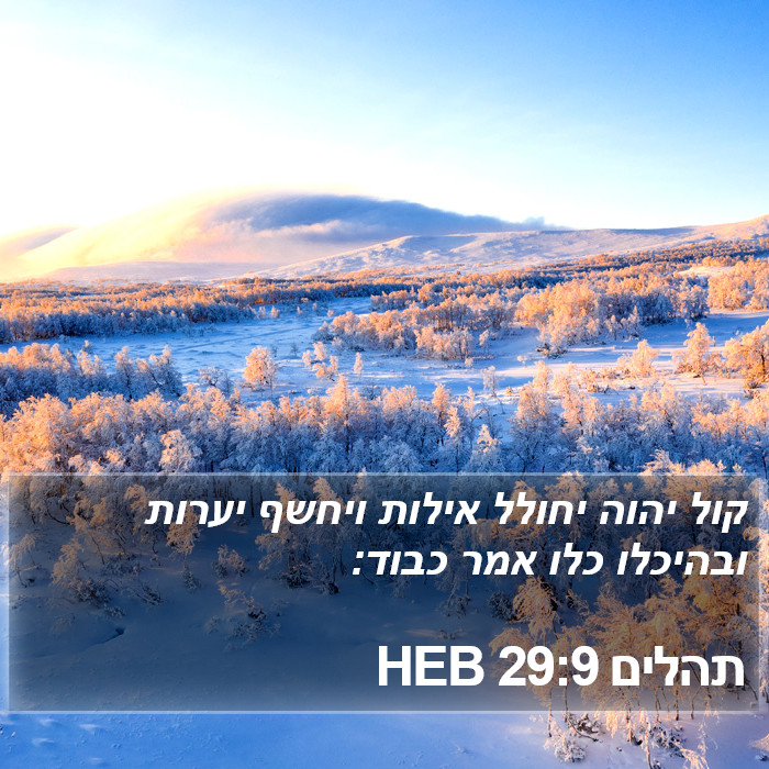 תהלים 29:9 HEB Bible Study