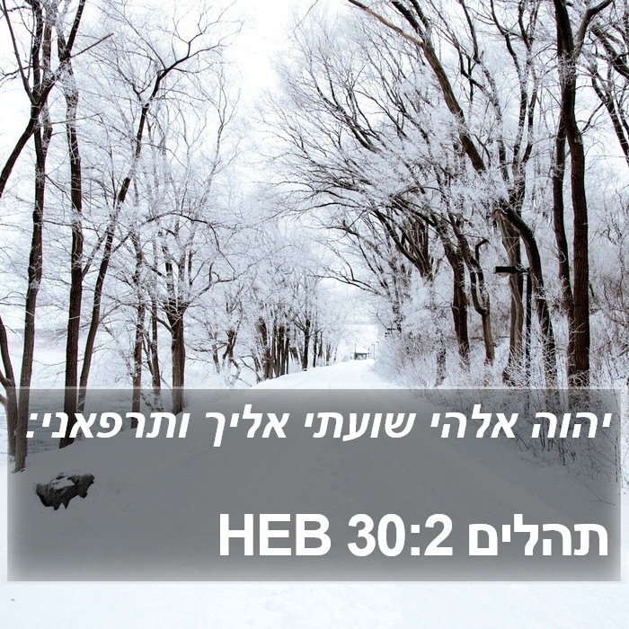 תהלים 30:2 HEB Bible Study