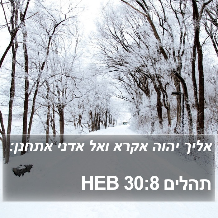 תהלים 30:8 HEB Bible Study