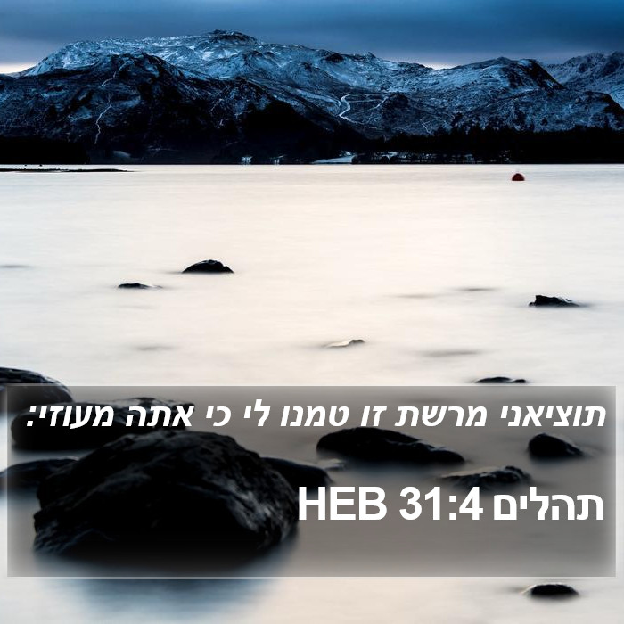 תהלים 31:4 HEB Bible Study