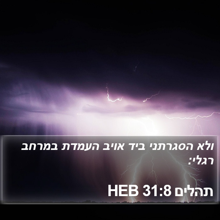 תהלים 31:8 HEB Bible Study