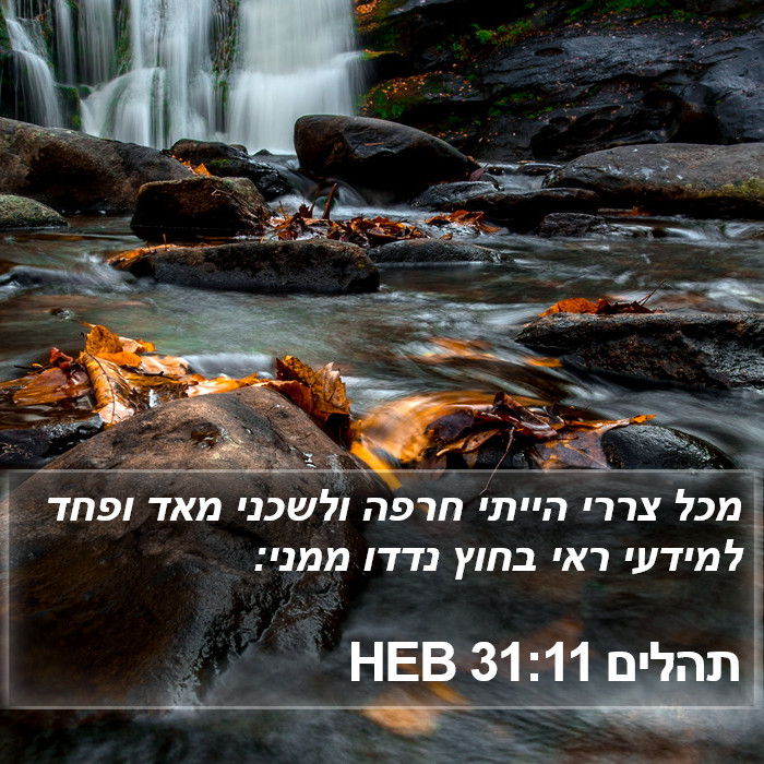 תהלים 31:11 HEB Bible Study