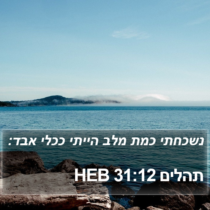 תהלים 31:12 HEB Bible Study