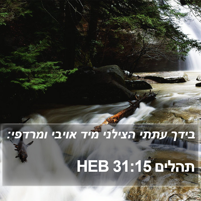 תהלים 31:15 HEB Bible Study