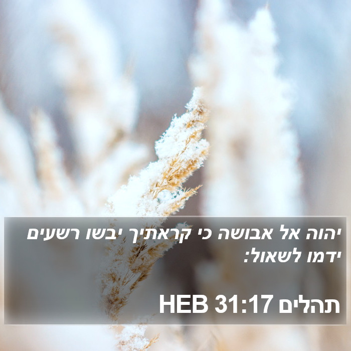 תהלים 31:17 HEB Bible Study