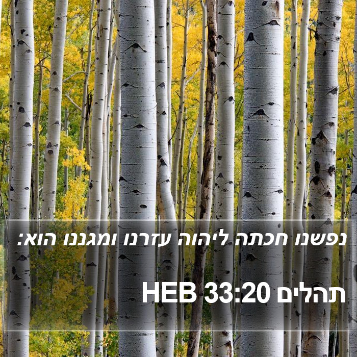 תהלים 33:20 HEB Bible Study