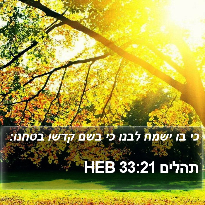 תהלים 33:21 HEB Bible Study