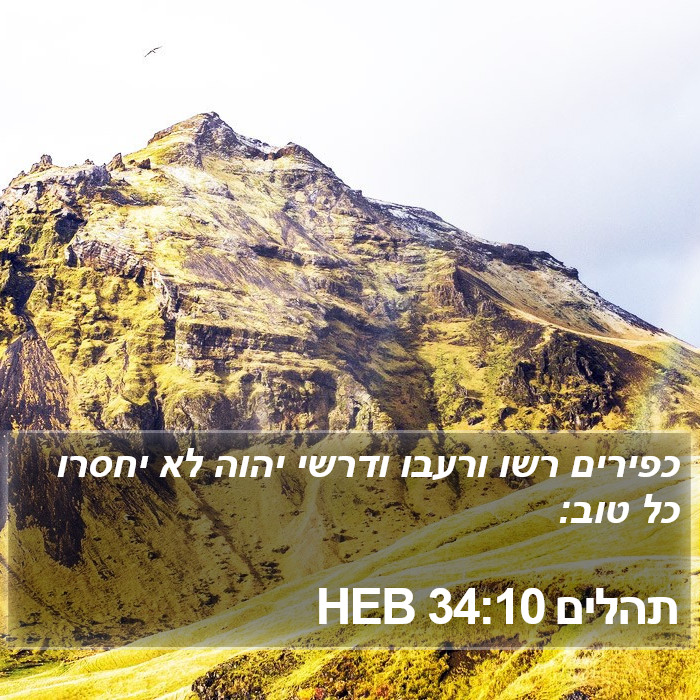 תהלים 34:10 HEB Bible Study