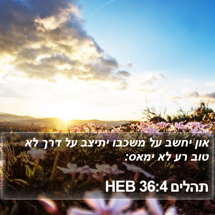 תהלים 36:4 HEB Bible Study