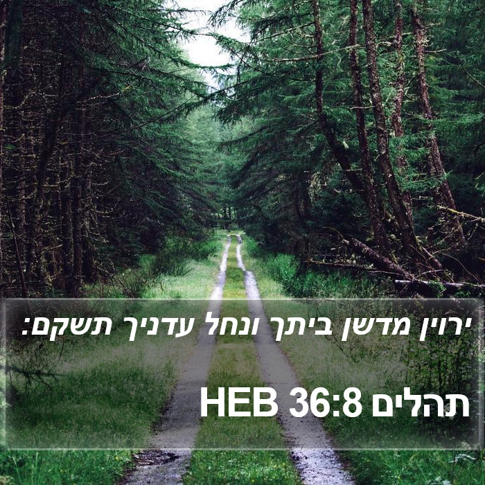 תהלים 36:8 HEB Bible Study