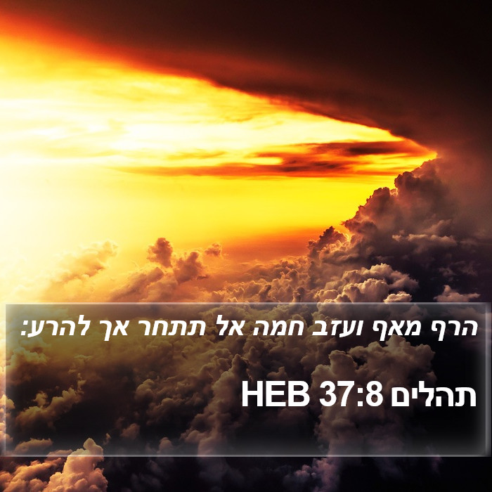 תהלים 37:8 HEB Bible Study