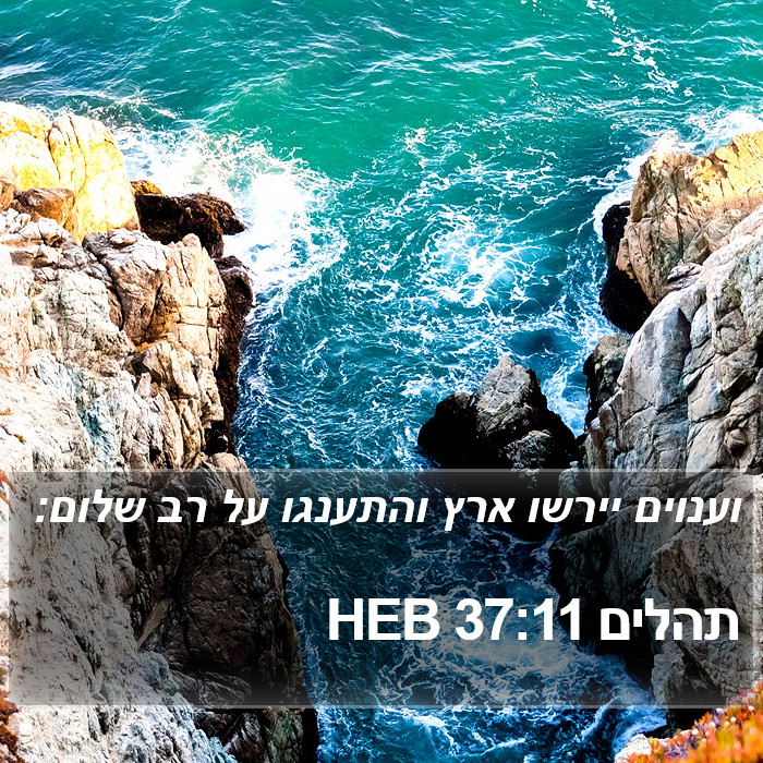 תהלים 37:11 HEB Bible Study