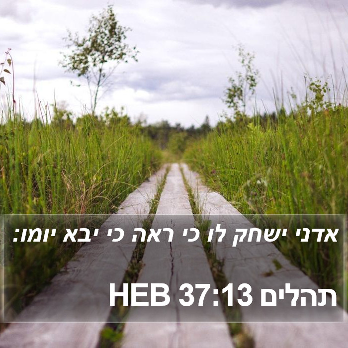 תהלים 37:13 HEB Bible Study