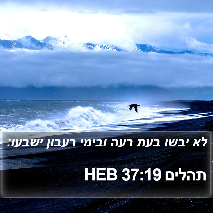 תהלים 37:19 HEB Bible Study