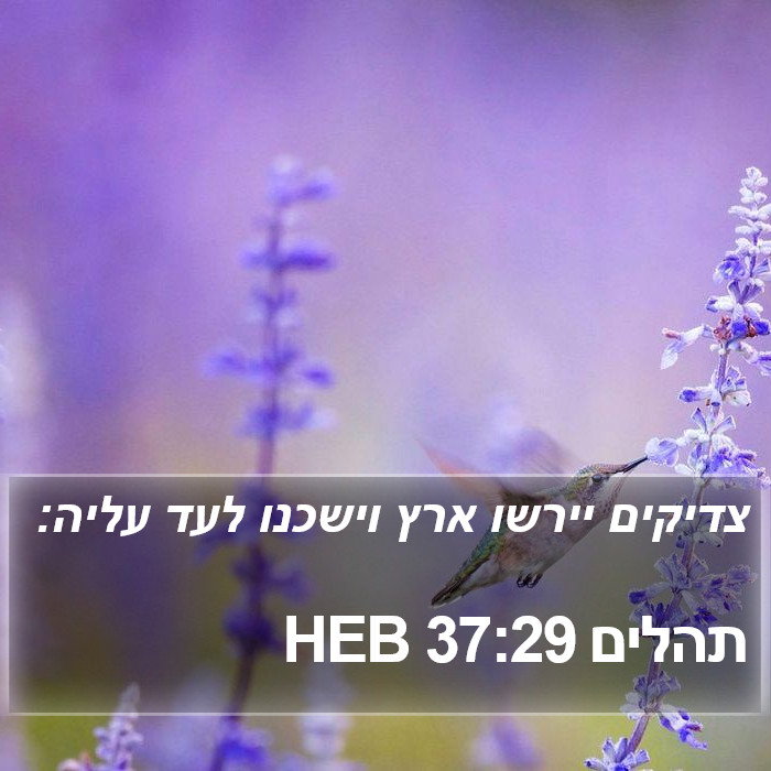 תהלים 37:29 HEB Bible Study