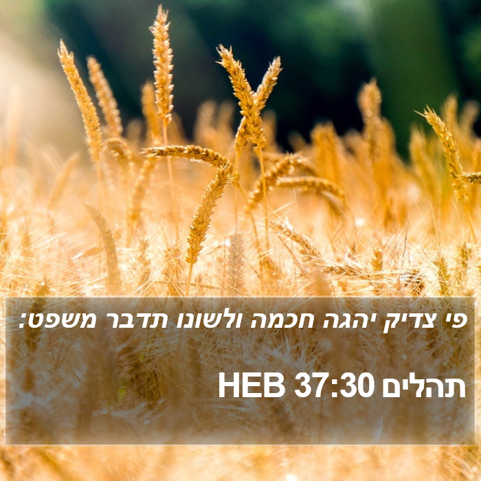 תהלים 37:30 HEB Bible Study