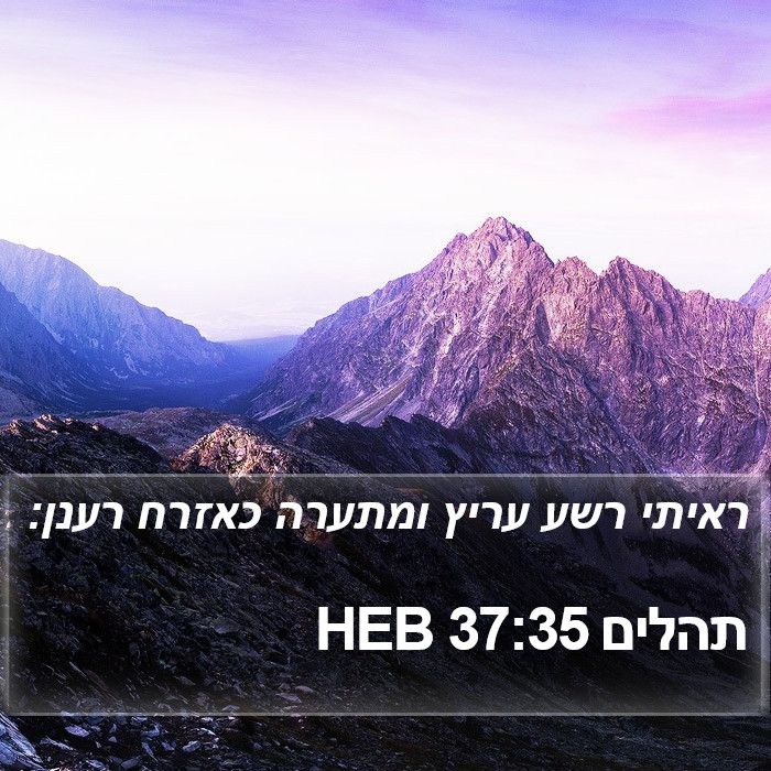 תהלים 37:35 HEB Bible Study