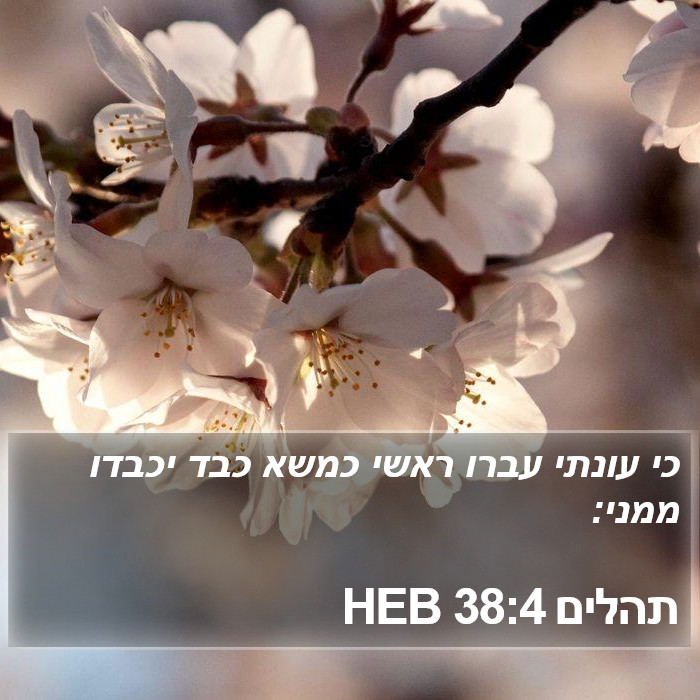 תהלים 38:4 HEB Bible Study