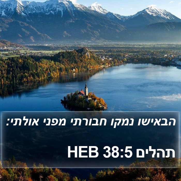 תהלים 38:5 HEB Bible Study