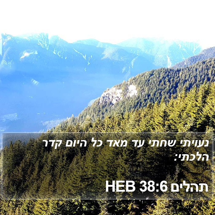 תהלים 38:6 HEB Bible Study