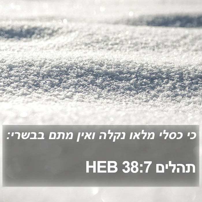 תהלים 38:7 HEB Bible Study