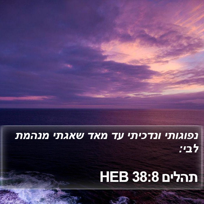 תהלים 38:8 HEB Bible Study