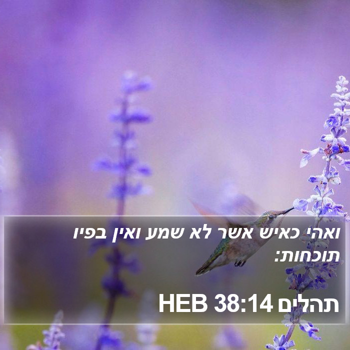 תהלים 38:14 HEB Bible Study