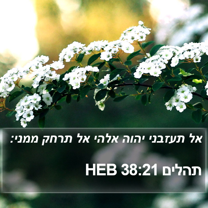 תהלים 38:21 HEB Bible Study