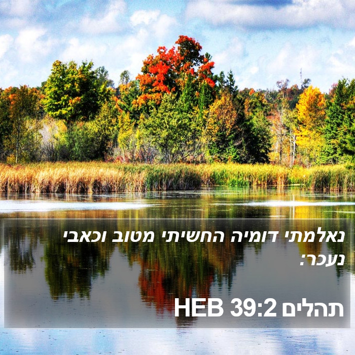 תהלים 39:2 HEB Bible Study