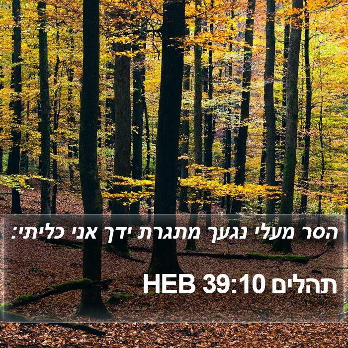 תהלים 39:10 HEB Bible Study