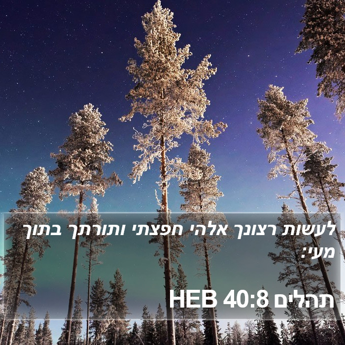 תהלים 40:8 HEB Bible Study