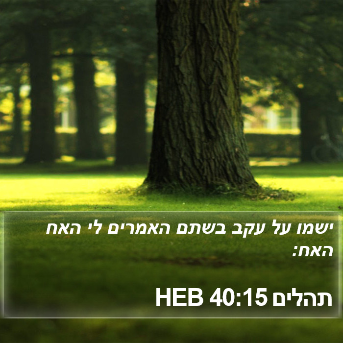 תהלים 40:15 HEB Bible Study