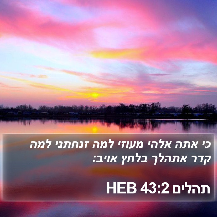 תהלים 43:2 HEB Bible Study