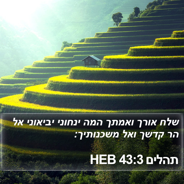 תהלים 43:3 HEB Bible Study
